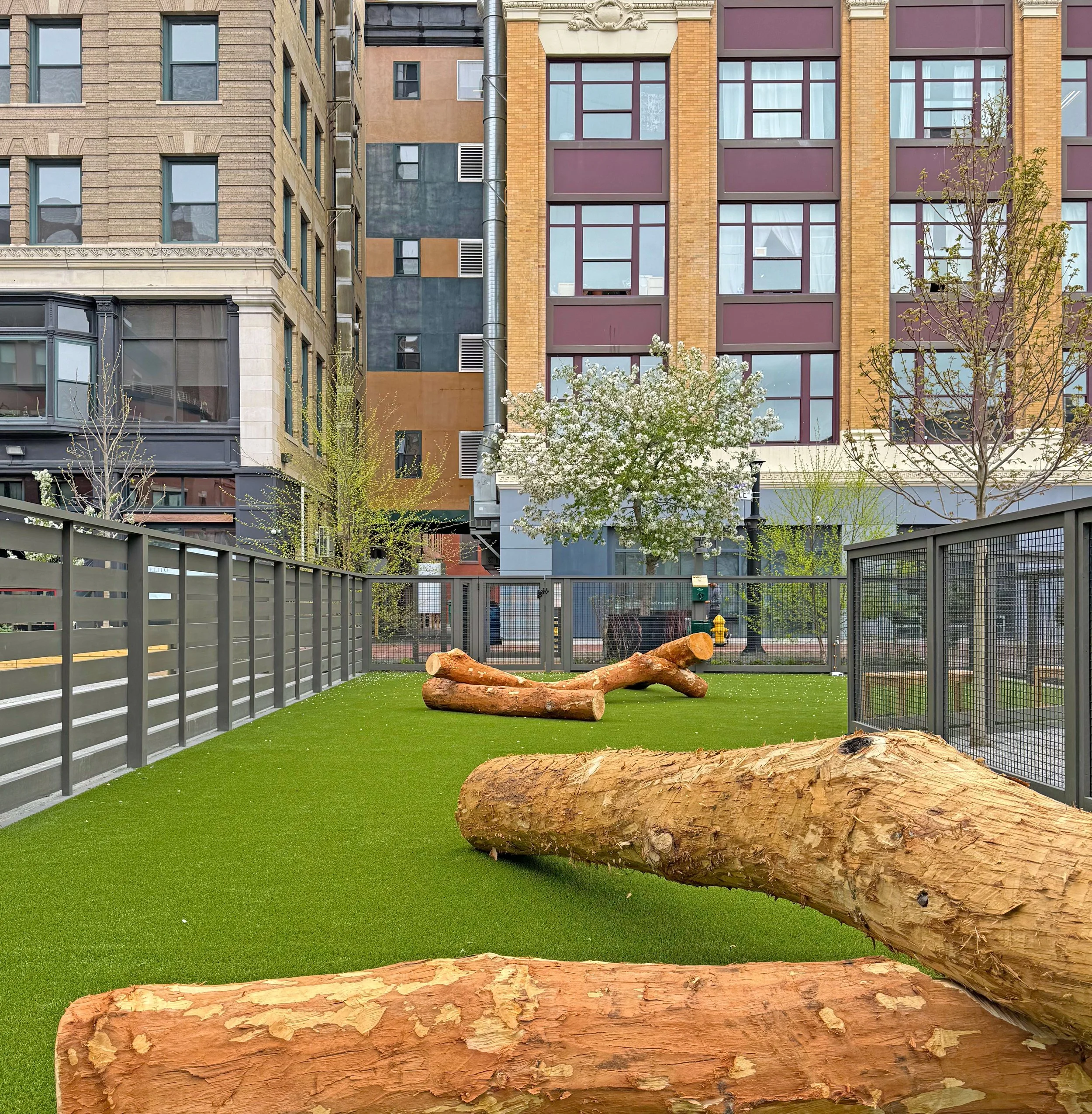 Dog Park at Grant’s Block