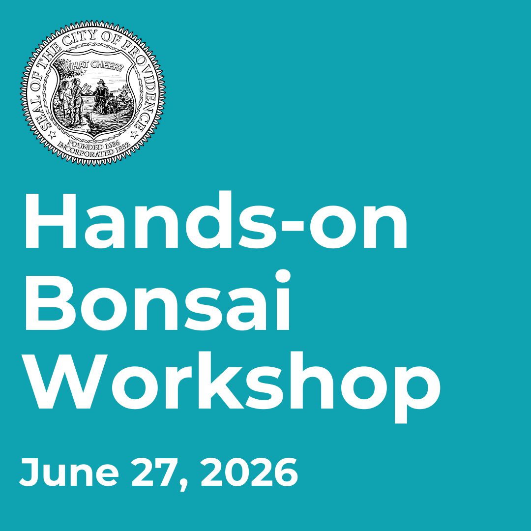 Hands-on Bonsai Workshop